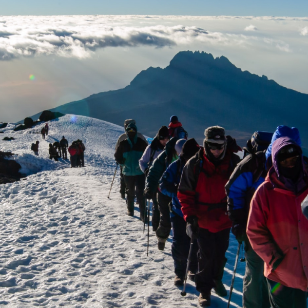 8-Day Kilimanjaro climbing Via Lemosho Route